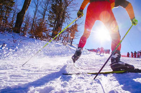 skier