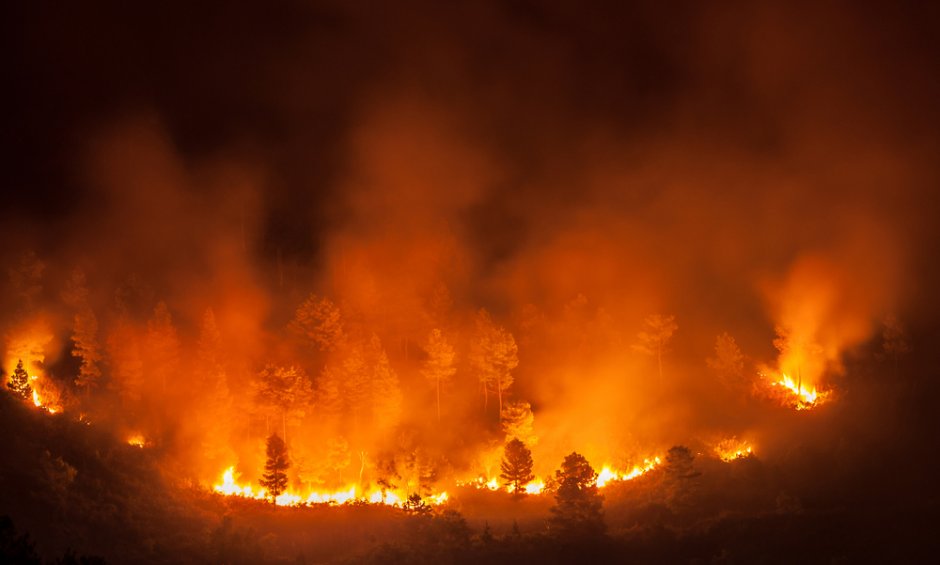 Την ανάγκη αντιμετώπισης της κλιματικής αλλαγής καταδεικνύει έκθεση της Κομισιόν για τις δασικές πυρκαγιές