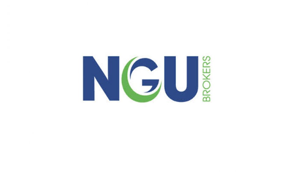 NGU INSURANCE AGENTS: Πρόσληψη υπεύθυνου ανάπτυξης κλάδου Ζωής και Υγείας