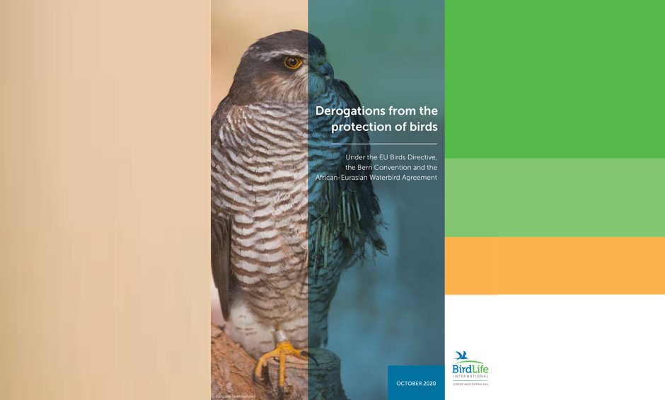 Νέα έκθεση αποκαλύπτει ότι τα κράτη μέλη της ΕΕ είναι υπεύθυνα για τον θάνατο περισσοτέρων από 14 εκατομμυρίων πουλιών 