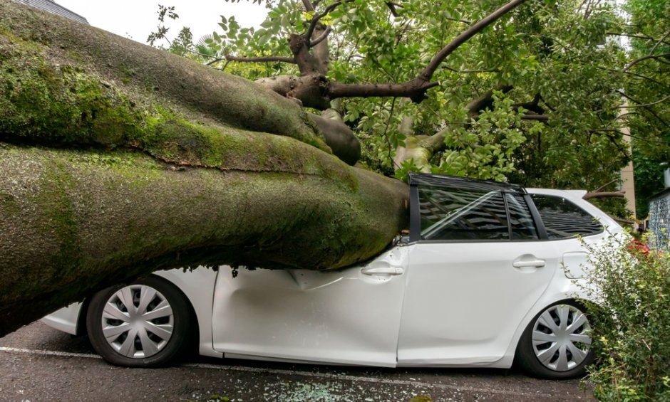 Ένα δέντρο έπεσε πάνω στο αυτοκίνητό σας! Πως θα αποζημιωθείτε γρήγορα;