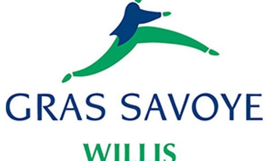 GRAS SAVOYE WILLIS HELLAS