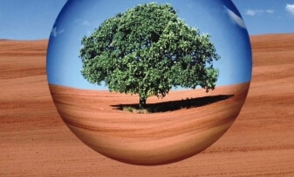 Ευρωπαϊκά Βραβεία Επιχειρήσεων για το περιβάλλον