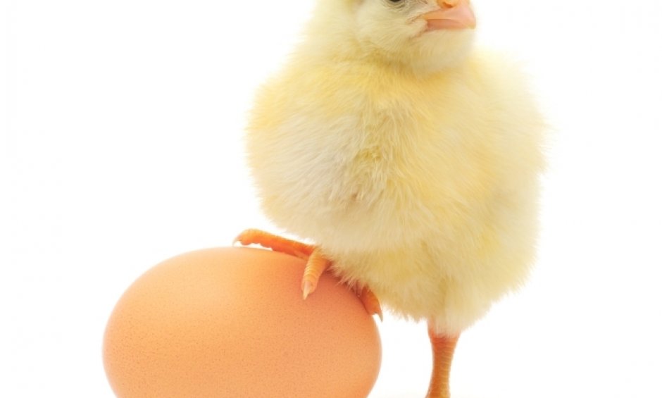 Ποιος θα προστατέψει τους ασφαλιστές από τα ‘λάθη’ και κενά της Αστικής Ευθύνης τους;