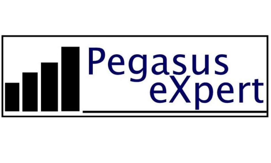 Pegasus eXpert: Νέο Δίκτυο στο Performance Management, Marketing & Development