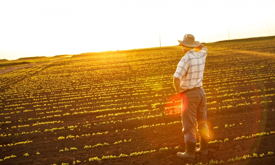Νέες φουσκωμένες εισφορές στους αγρότες του ΟΓΑ