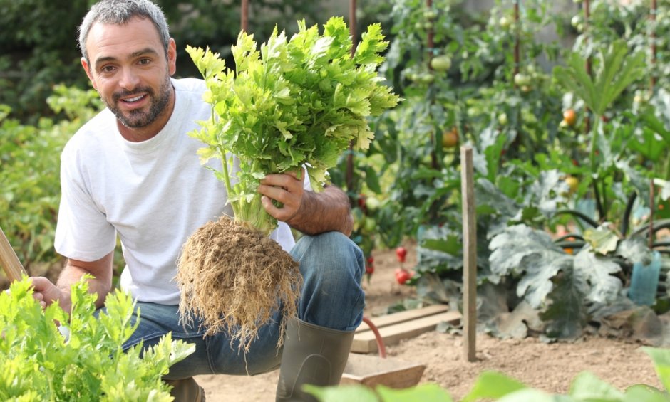 Γνωρίστε το νέο πρόγραμμα της DAÈS, "AGRONOMOS™"