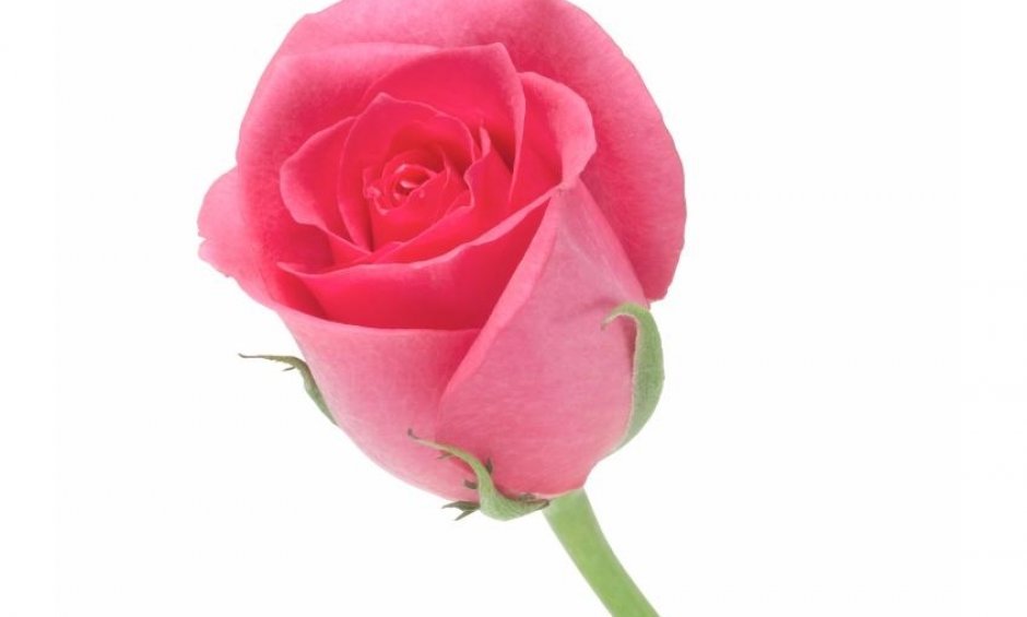 Η νοθεία του Agency