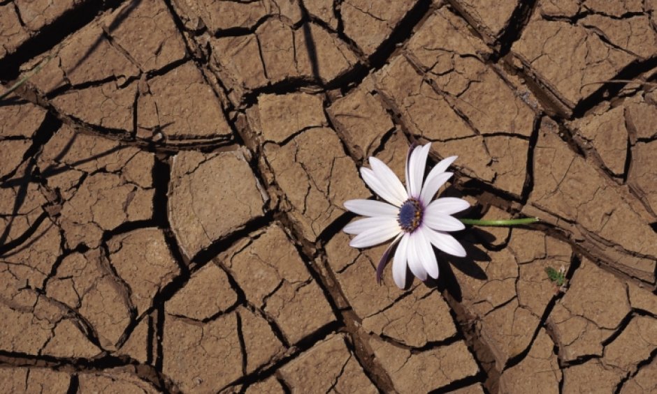 Σχήματα ασφάλισης φυσικών καταστροφών στην Ευρώπη