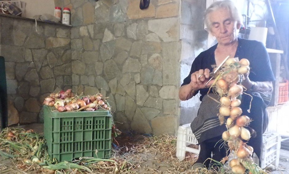 Αραρίσκοντας Ηλίας Προβόπουλος: Και τα κρεμμύδια θέλουν την κοτσίδα τους