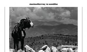 Έκθεση φωτογραφίας «Ακολουθώντας τα κοπάδια»