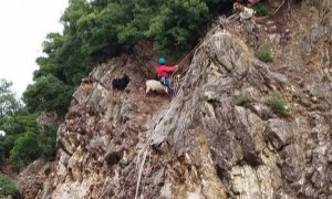 Κάποιοι να νοιάζονται και για τα κατσίκια…