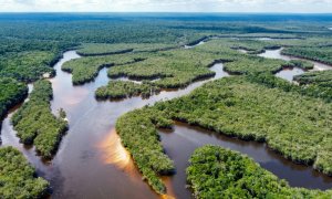 Τέσσερις γαλλικές τράπεζες κατηγορούνται από ΜΚΟ ότι χρηματοδοτούν την αποψίλωση του Αμαζονίου