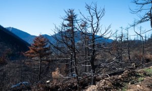 Υπεγράφη η έγκριση του Εθνικού Χάρτη Εκτίμησης Κινδύνου Δασικών Πυρκαγιών