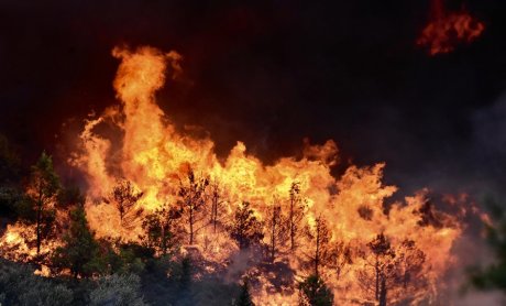 Ηλεκτρονική βάση δεδομένων για την αναζήτηση αγνοουμένων