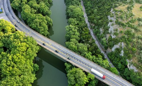 Τροχαία με αδέσποτα ζώα εντός αυτοκινητοδρόμου. Τι ισχύει για την Ευθύνη;