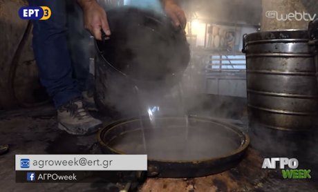 ΑΓΡΟweek: Πώς παράγεται το τσίπουρο! 