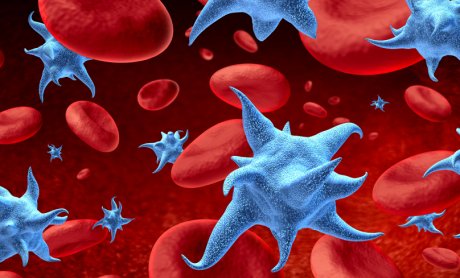 Αιμοπετάλια: Τα μικρότερα κύτταρα του αίματος είναι και «μικρότερης αξίας»;