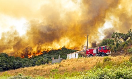 Τι προβλέπει η νομοθεσία για την ασφάλιση πυρκαγιάς από δάσος;