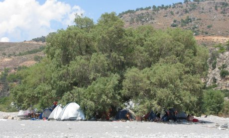 Αραρίσκοντας Ηλίας Προβόπουλος: Στην κοινότητα του αρμυρικιού