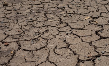 Η ξηρασία στην Ευρώπη επηρεάζει τις καλλιέργειες κι αυξάνει τον κίνδυνο για πυρκαγιές!