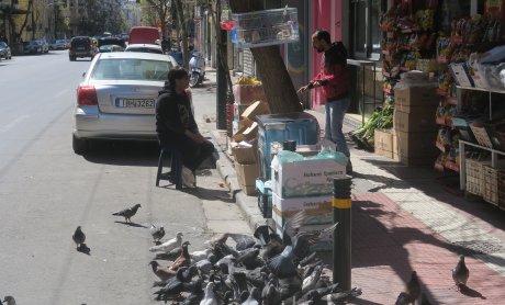 Καρδερίνες και περιστέρια στην Αχαρνών, του Ηλία Προβόπουλου