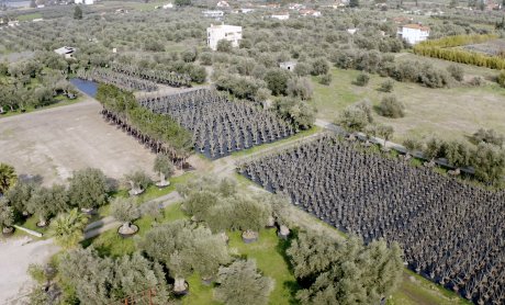 Γιγάντια επιχείρηση μεταφύτευσης 3.000 δέντρων στο Ελληνικό  υλοποιείται από την LAMDA Development