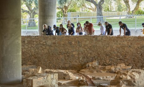 Μουσείο Ακρόπολης: Συμμετέχει στις «Πράσινες Πολιτιστικές Διαδρομές!»