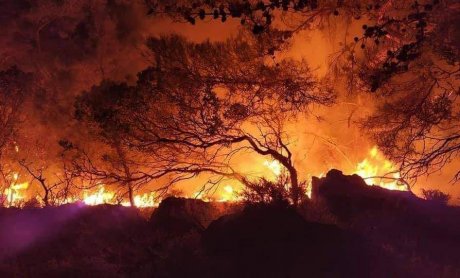 Ηλίας Προβόπουλος: Πως σώθηκε ένα δάσος στον Τυμφρηστό!