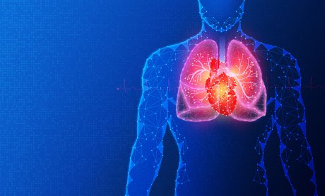 Η καρδιοαναπνευστική υγεία σχετίζεται με την επίπτωση και τη θνητότητα από καρκίνο πνεύμονα, προστάτη και παχέος εντέρου!