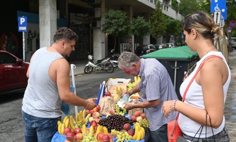 Ηλίας Προβόπουλος: Ο μανάβης της Πανεπιστημίου