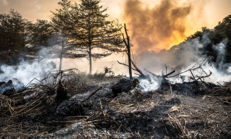 Χανιά: Συνελήφθη άνδρας για εμπρησμό από αμέλεια!