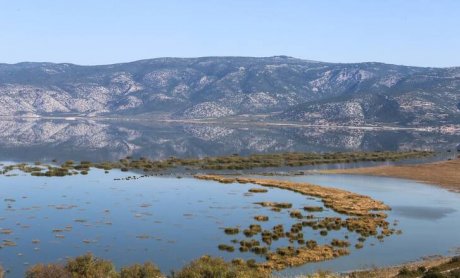 Ακατάλληλο για ανθρώπινη κατανάλωση χαρακτηρίζεται το νερό σε Πορταριά, Ιωλκό, Μακρυνίτσα, Χανιά και Δρακειά!