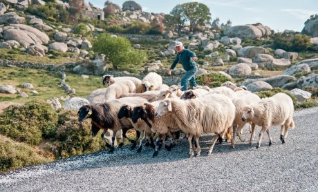 Οι άνθρωποι της Τήνου και τα έργα τους