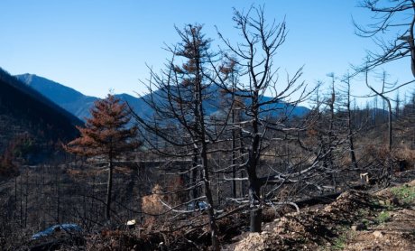 Υπεγράφη η έγκριση του Εθνικού Χάρτη Εκτίμησης Κινδύνου Δασικών Πυρκαγιών