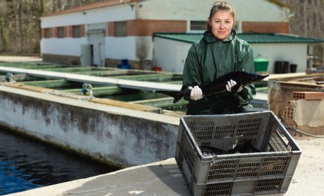 Αστική ευθύνη ιχθυοτροφείου: Γιατί είναι κρίσιμη και τι πρέπει να καλύπτει ένα σωστό πρόγραμμα