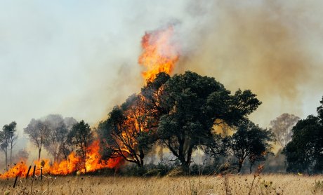 Ασφαλιστικό κενό για ακραίες πυρκαγιές: Ένα σχεδιάγραμμα 1000 λέξεις!