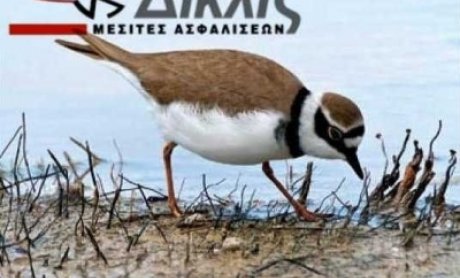 Φροντίζει την φύση και τον τόπο μας η ΔΙΚΛΙΣ