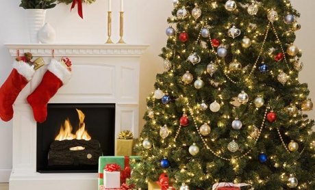 Κέντρο Προστασίας Καταναλωτών: Επισημάνσεις για την αγορά Χριστουγεννιάτικου Δέντρου