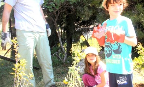 Η  Interamerican δίνει έμφαση και στο περιβάλλον 