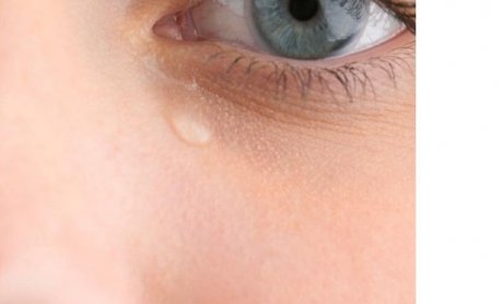 Σύλλογος Ζημιωθέντων: Με αφορμή την Proton... 