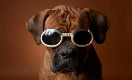 Καλά, ‘στραβοί’ είστε, δεν βλέπετε τα προειδοποιητικά ‘σήματα’; Ενεργήστε ανάλογα!