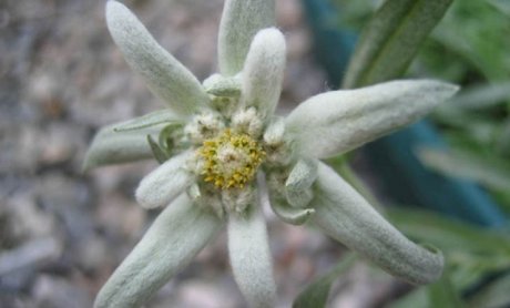 Καλό μήνα! Καλά Χριστούγεννα φίλοι! Άναψε πράσινο, πάμε!