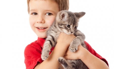 Κίνδυνος εκζέματος για τα νήπια που συνυπάρχουν με γάτες