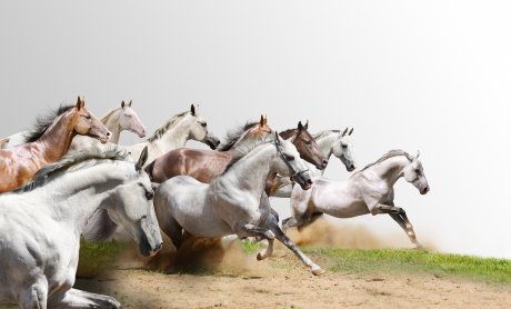 Η Ένωση Διαμεσολαβούντων έρχεται πάνω από όλους ως προστασία από τους “απέναντι”…