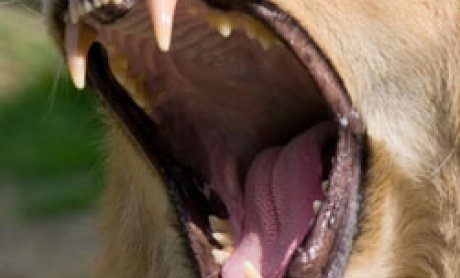 Αθέμιτος ανταγωνισμός σε βάρος Ελλήνων μετόχων στην ασφαλιστική αγορά;