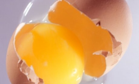 Και στην Βρετανία προϊόντα με διοξίνη.‘Ερευνες  στην  Ελλάδα 