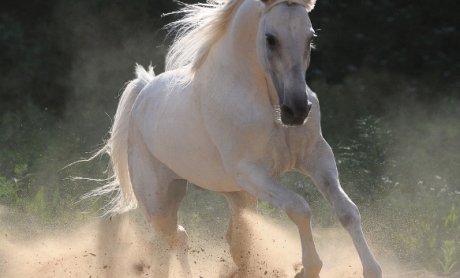 Με ασφαλιστές στα δικηγορικά γραφεία και τα δικαστήρια μπαίνει το 2012