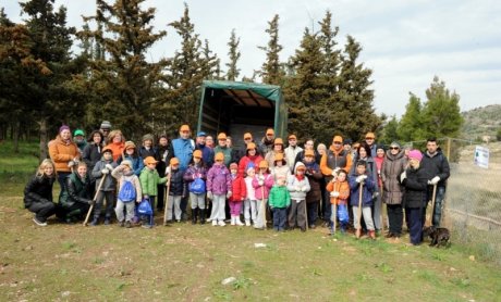 Alpha Bank: Μαζί … και στην αναδάσωση