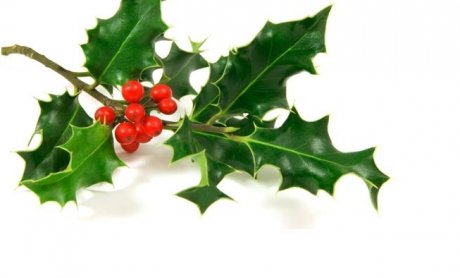 Ασφαλιστήρια Χριστουγέννων;